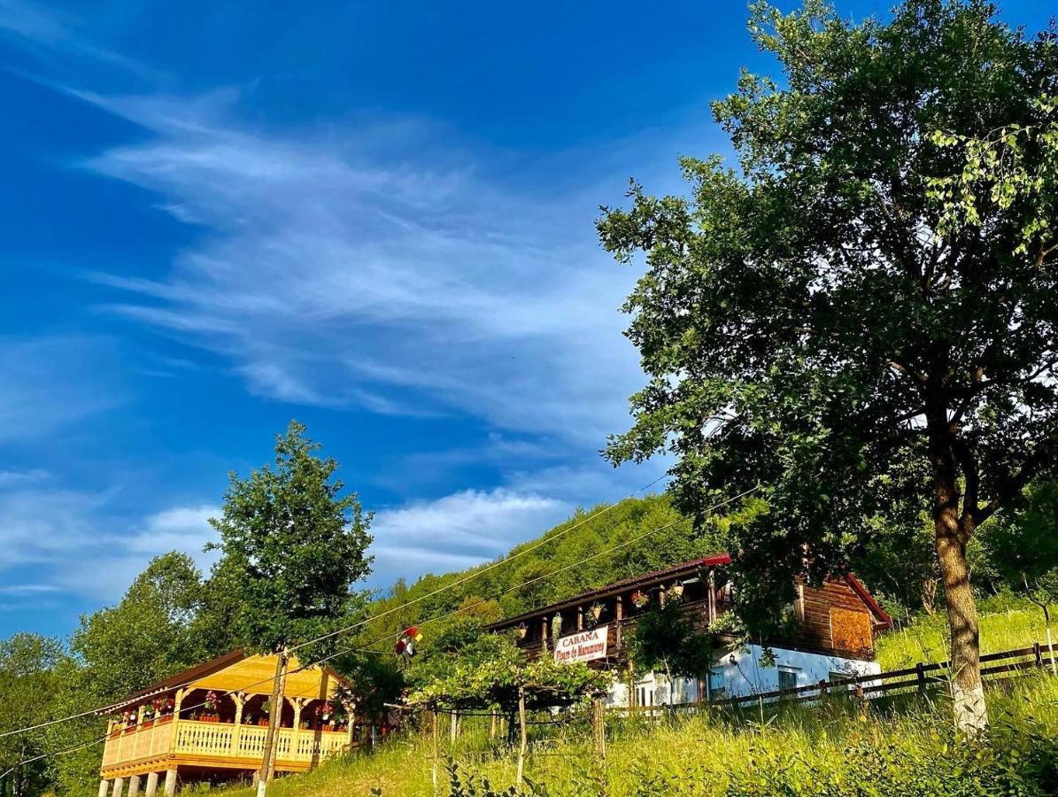 Floare De Maramures 2 Sighetu Marmaţiei Esterno foto
