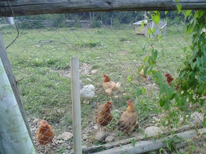 Floare De Maramures 2 Sighetu Marmaţiei Esterno foto