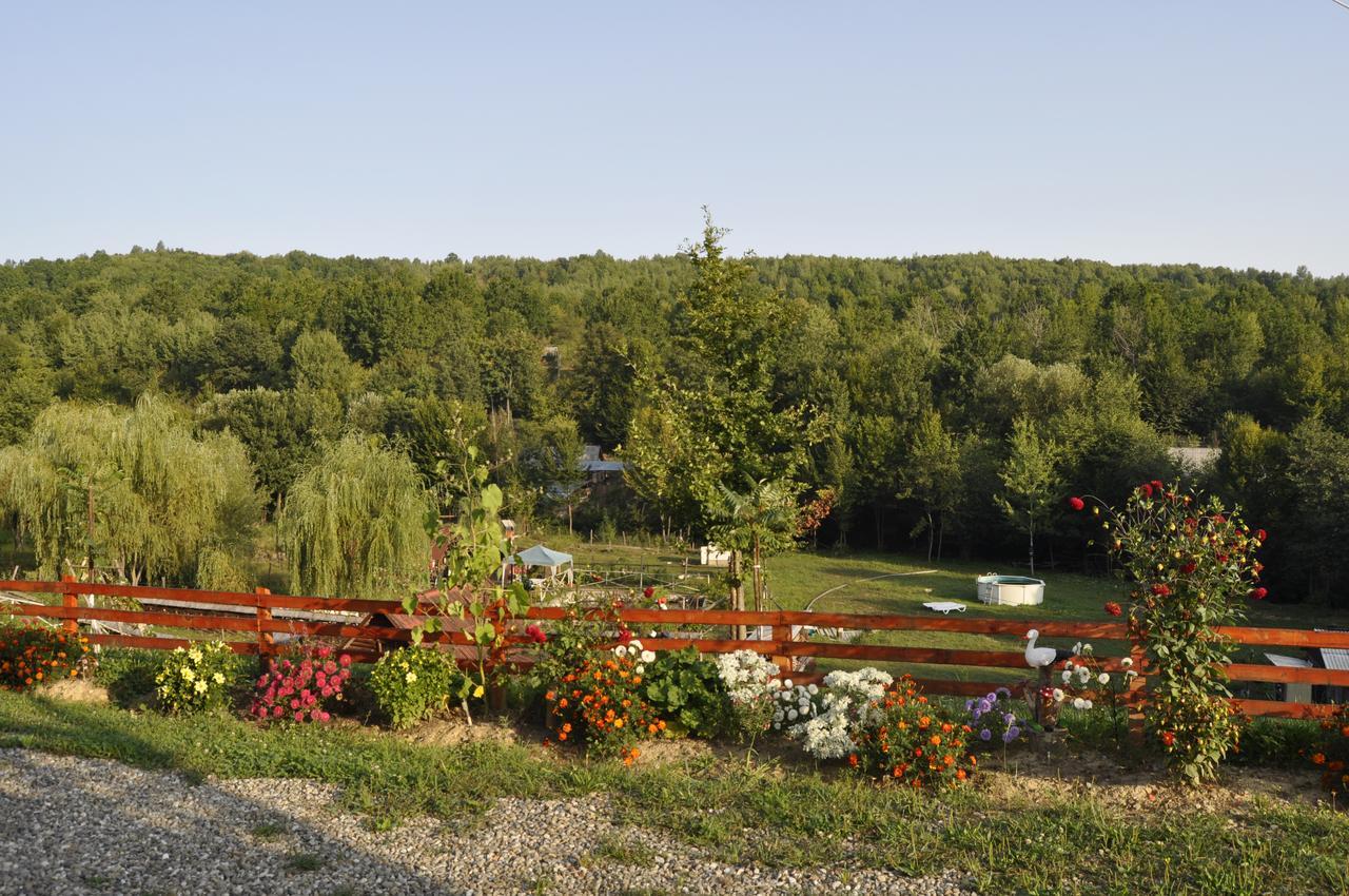 Floare De Maramures 2 Sighetu Marmaţiei Esterno foto