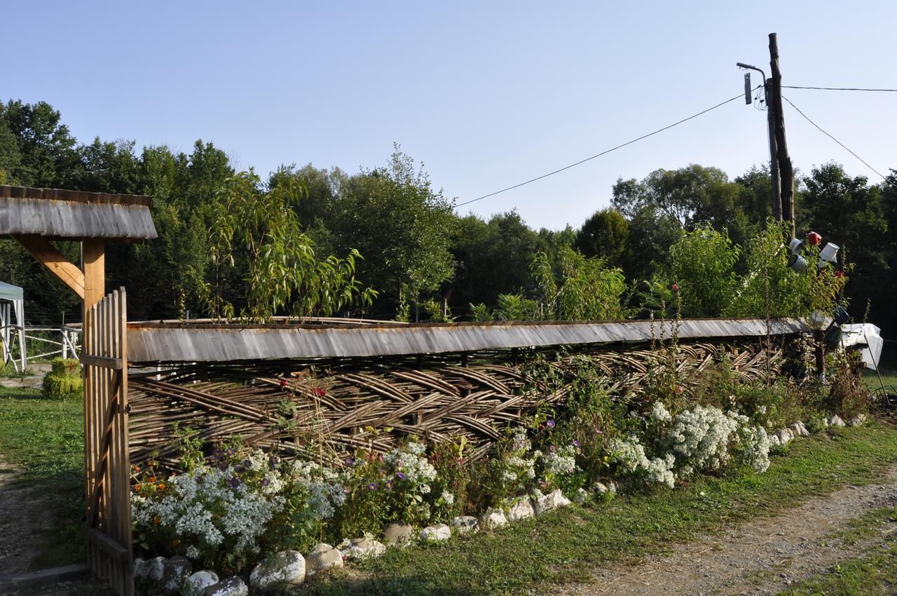 Floare De Maramures 2 Sighetu Marmaţiei Esterno foto