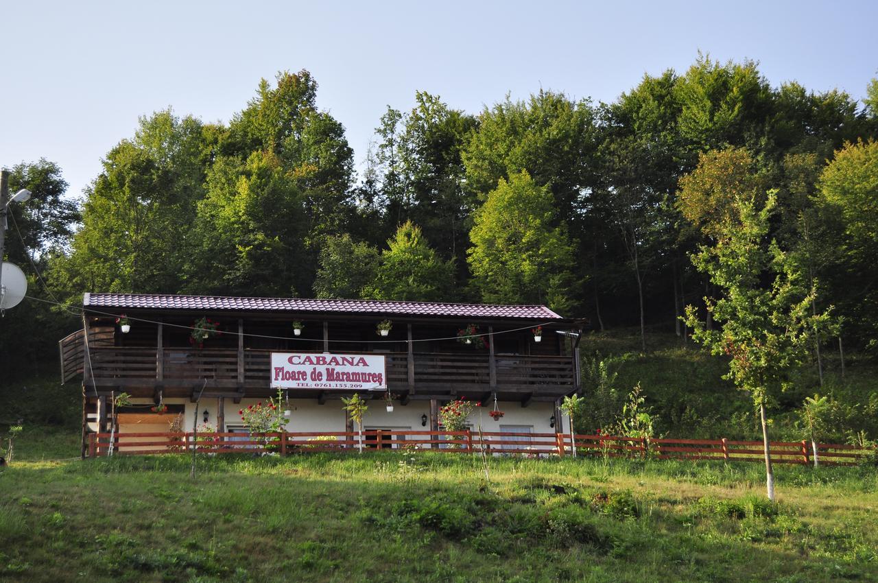 Floare De Maramures 2 Sighetu Marmaţiei Esterno foto