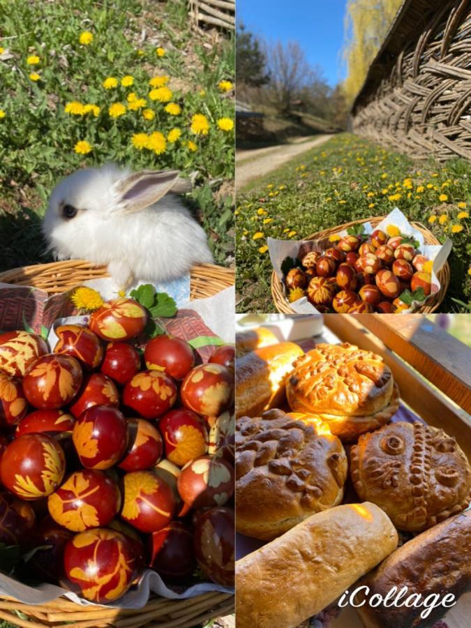 Floare De Maramures 2 Sighetu Marmaţiei Esterno foto